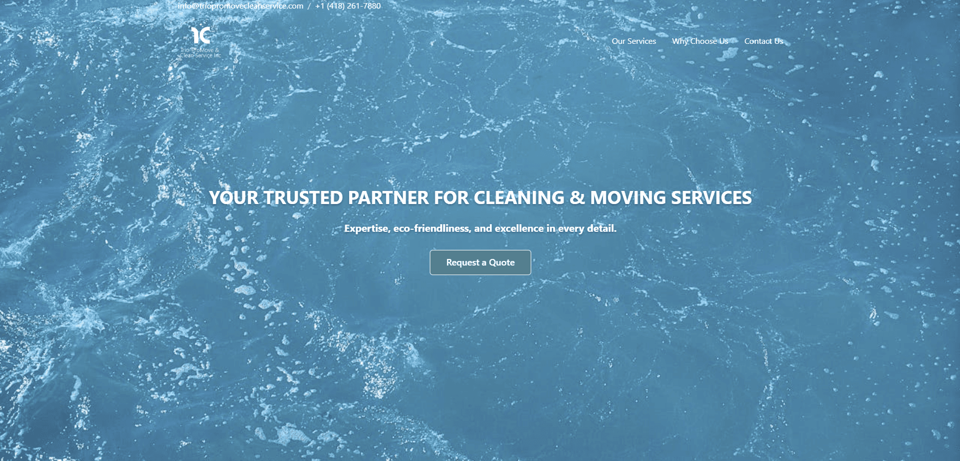 Trio Pro Move & Clean Service - Image 1